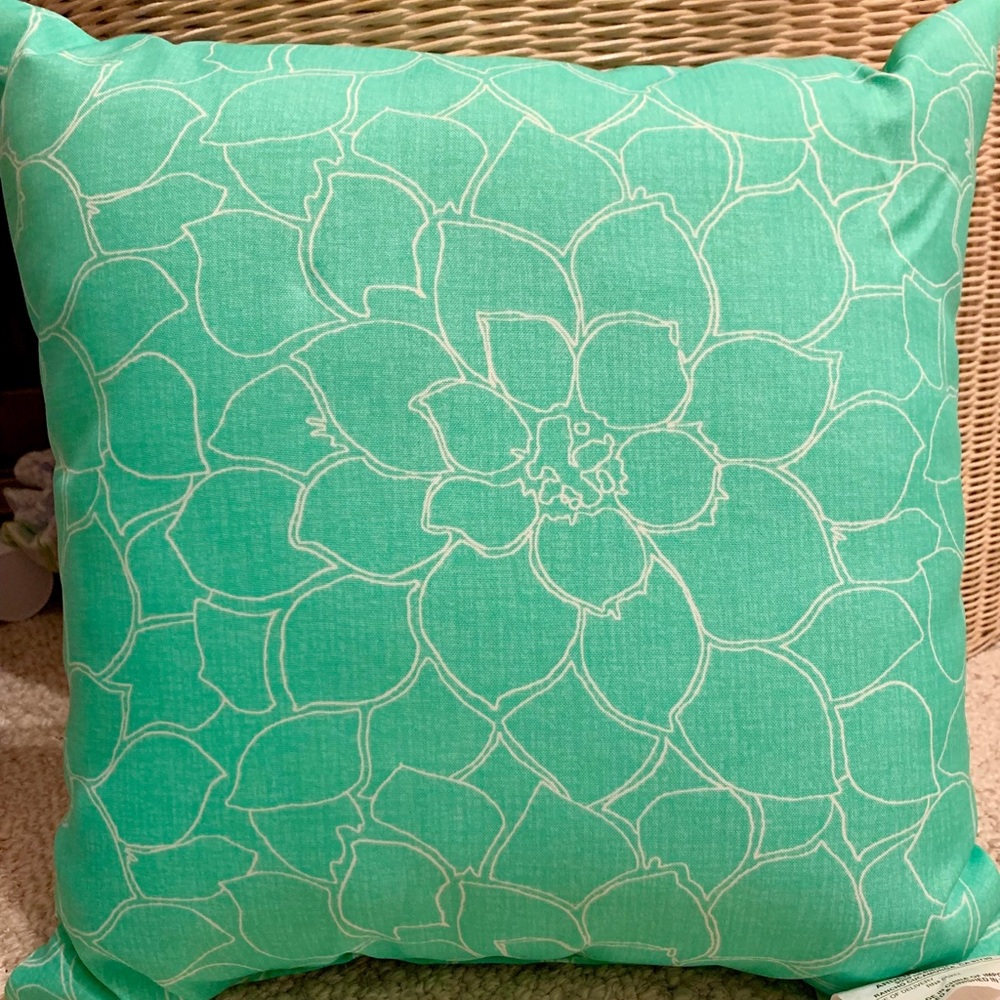 NWT PICK ANY 2 PILLOWS, INDOOR/OUTDOOR